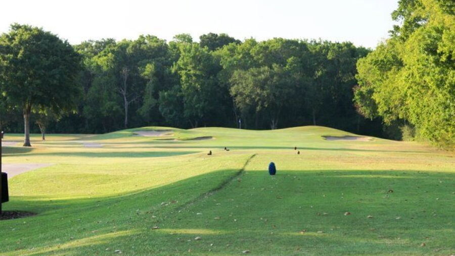 Pine Forest CC