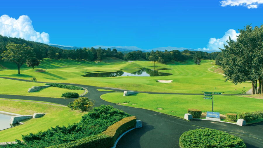 Twin Fields GC
