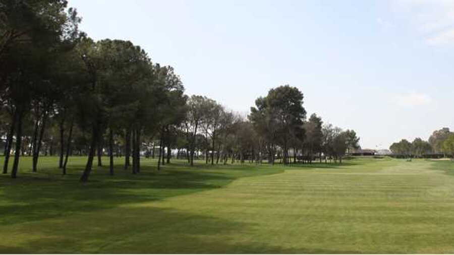 Real Club Pineda de Sevilla