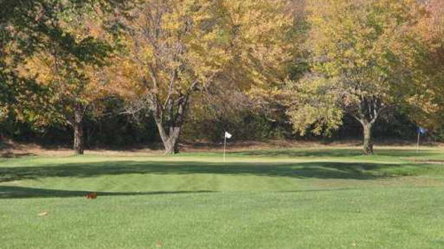South Grove GC