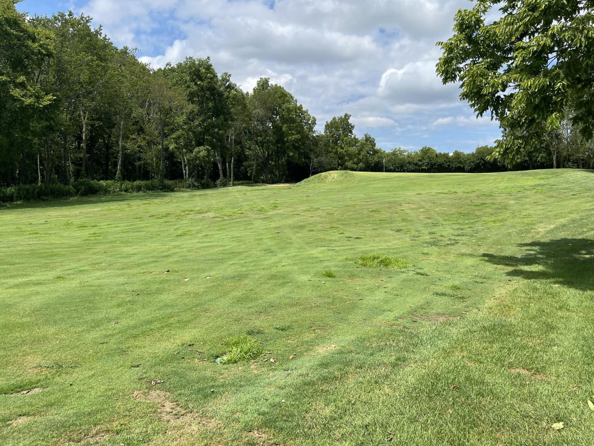 patchy fairways (Photo submitted by T1h2spPY5goX9agWsUd0 on 08/03/2025)