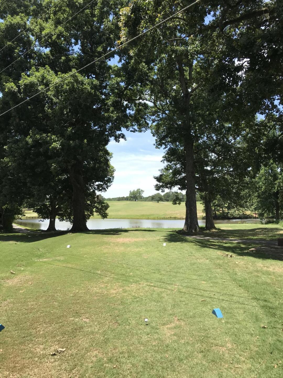 Third hole tee shot from the tips. (Photo submitted by u314160153308 on 01/08/2022)