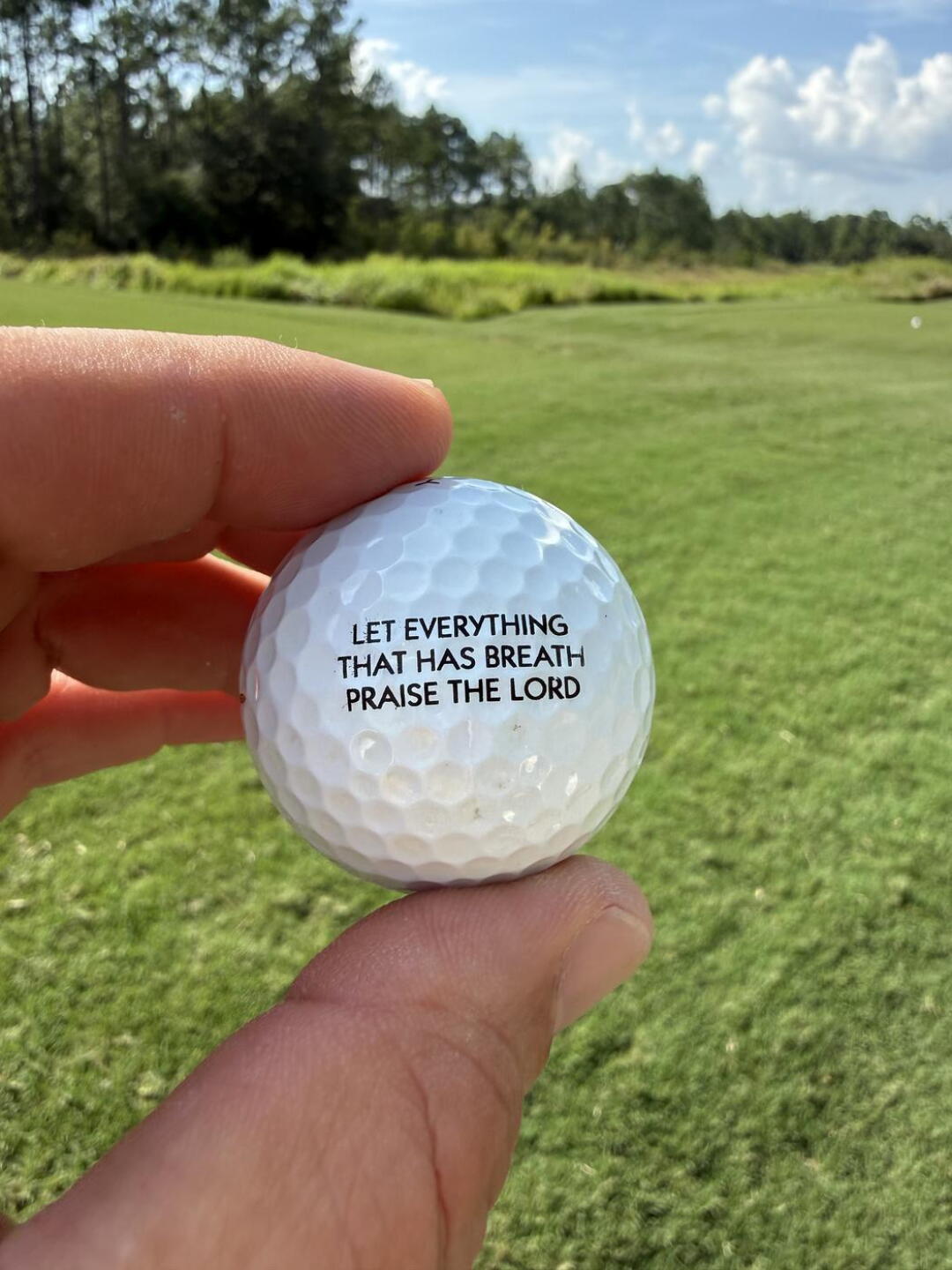 Found this on the front nine! (Photo submitted by gotcherrobert on 08/24/2026)
