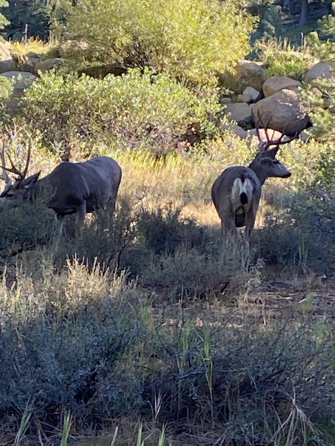 (Photo submitted by u726105949 on 10/01/2022)