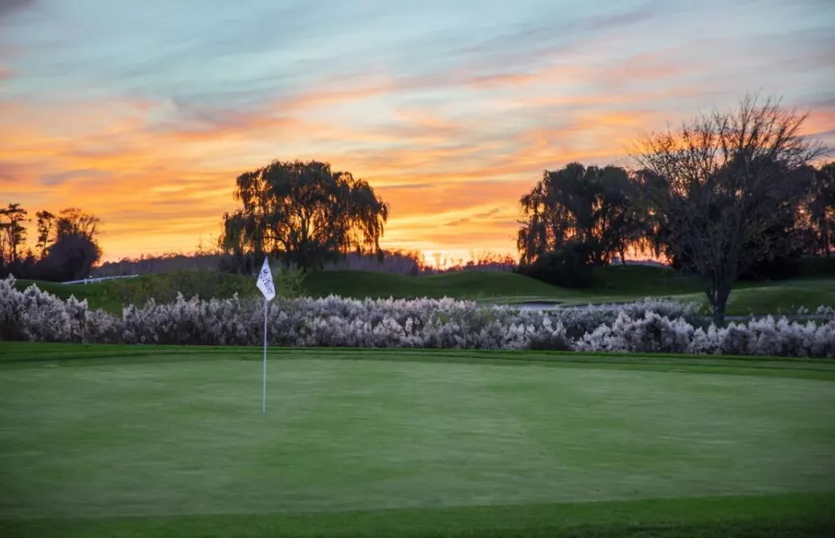 The Rookery South: #6