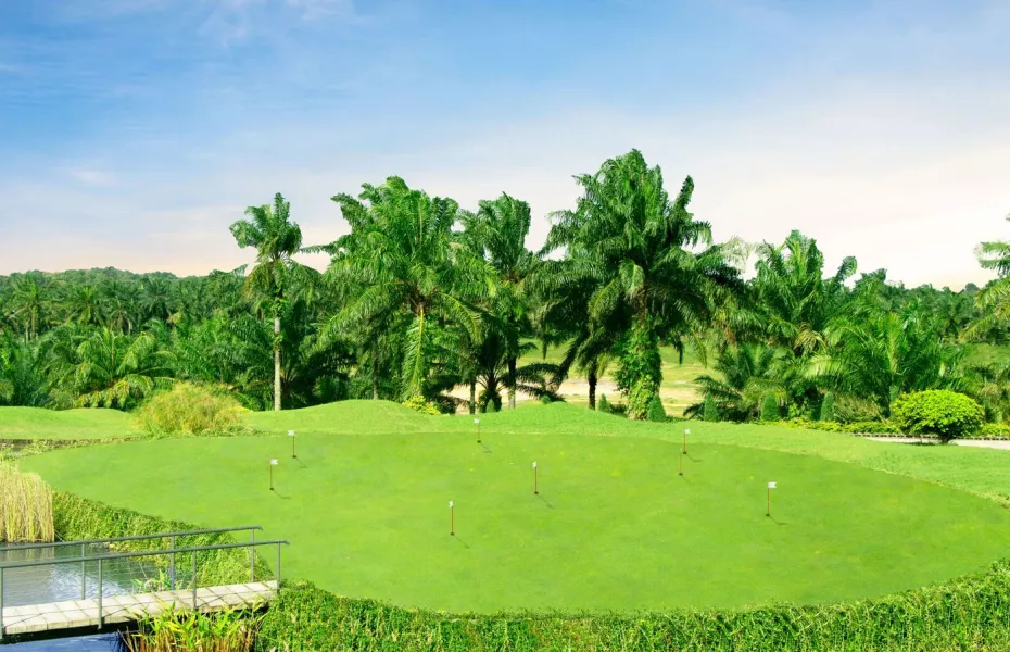 Senibong GC: Practice area