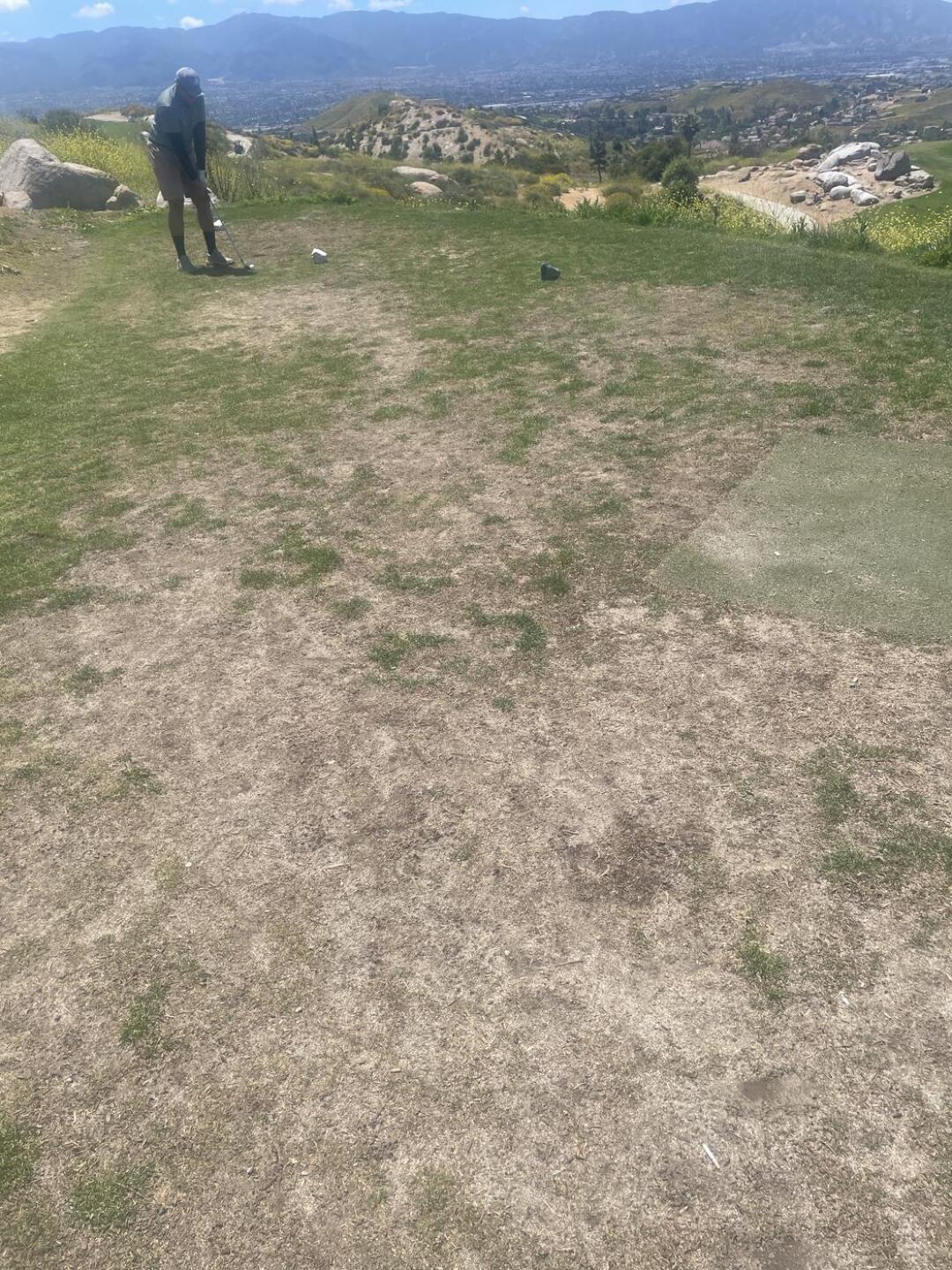 (Photo submitted by jamesschaffer on 05/08/2023)