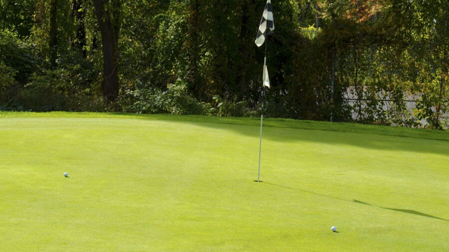 Firefly GC