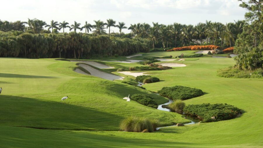 Trump International GC: #15