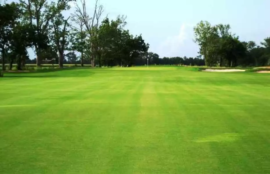 Links on the Bayou: #5