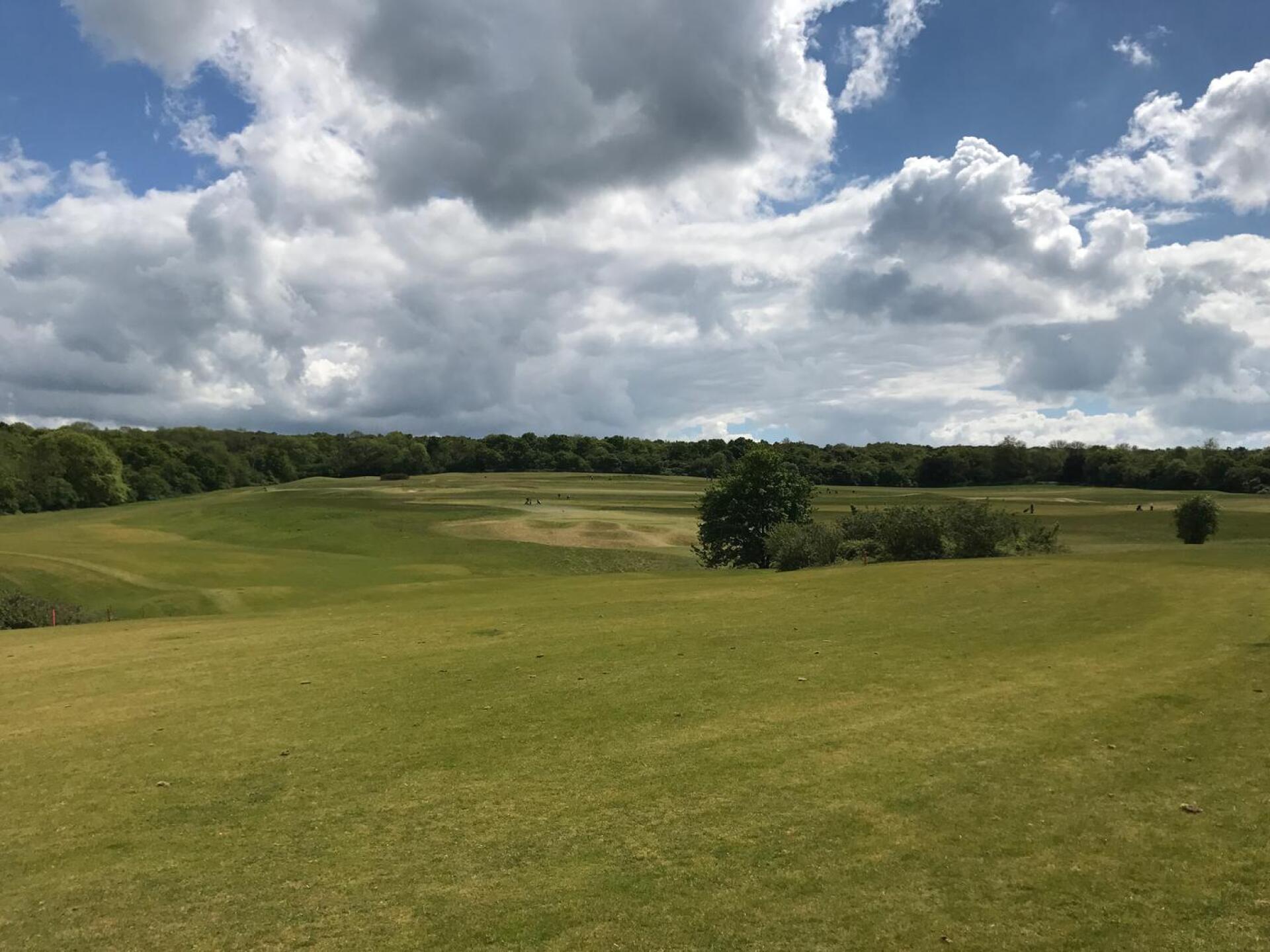 (Photo submitted by Andy90 on 05/17/2017)