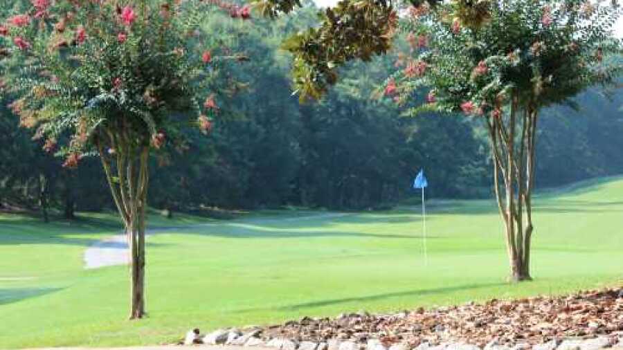 Griffin City GC