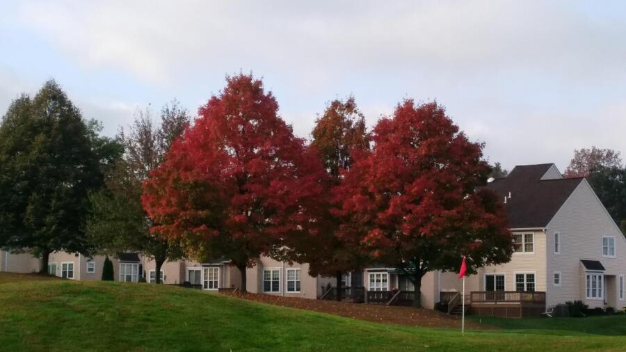 PineCrest Country Club - fall colors