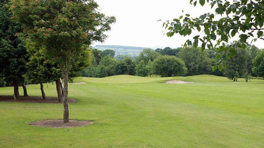 Castlewarden GC: #8