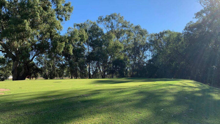 Warren GC: #1
