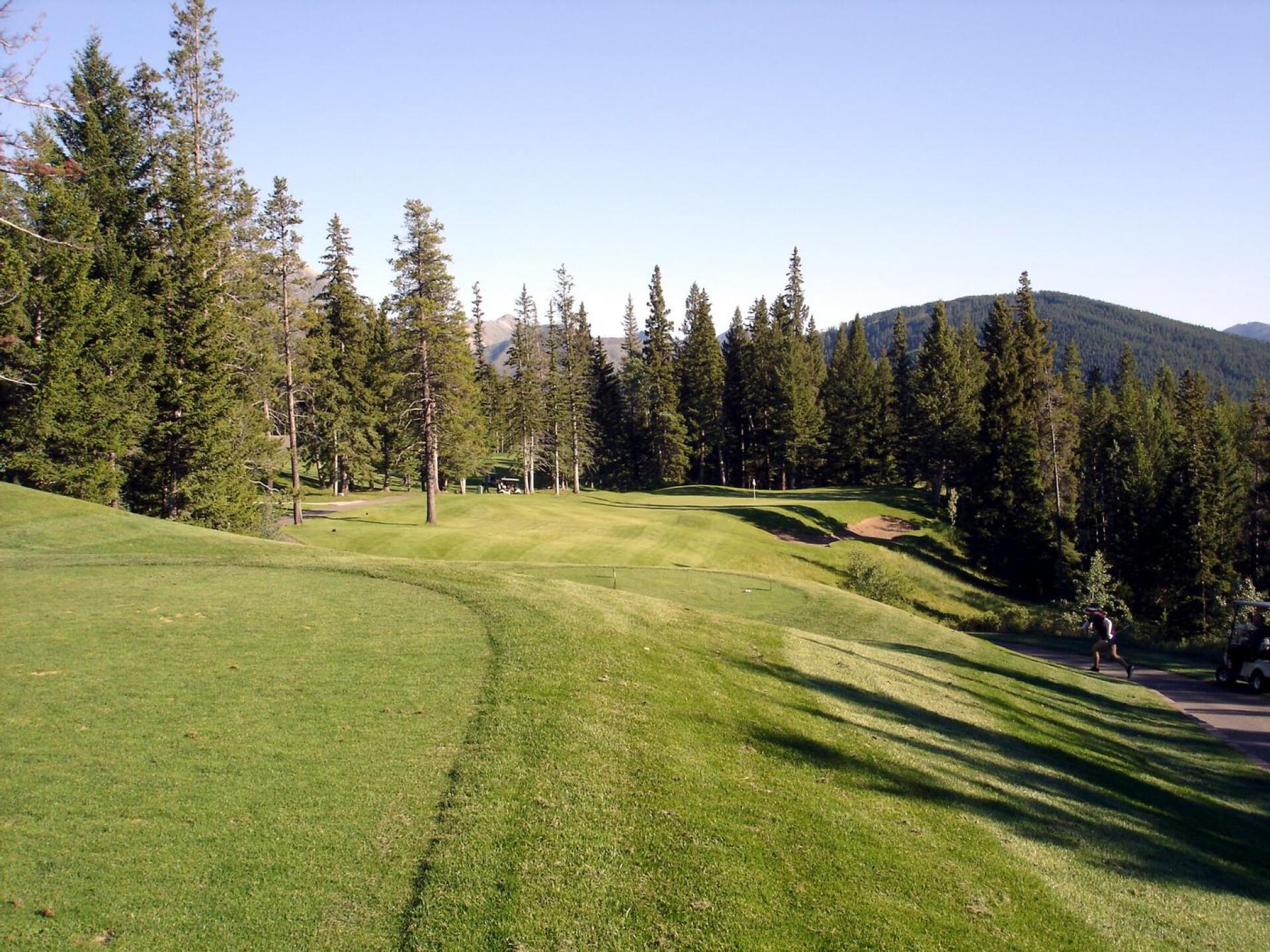 Crowsnest Pass GC, Hole 8, Par 3, 158 yds (Photo submitted by DYakimec on 06/29/2021)