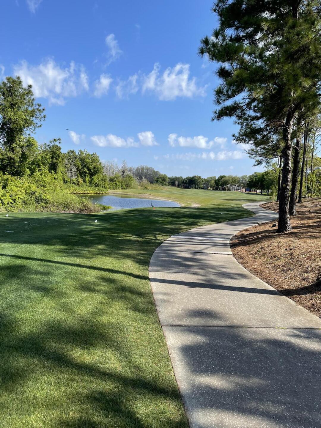 (Photo submitted by Paullagro on 03/22/2024)