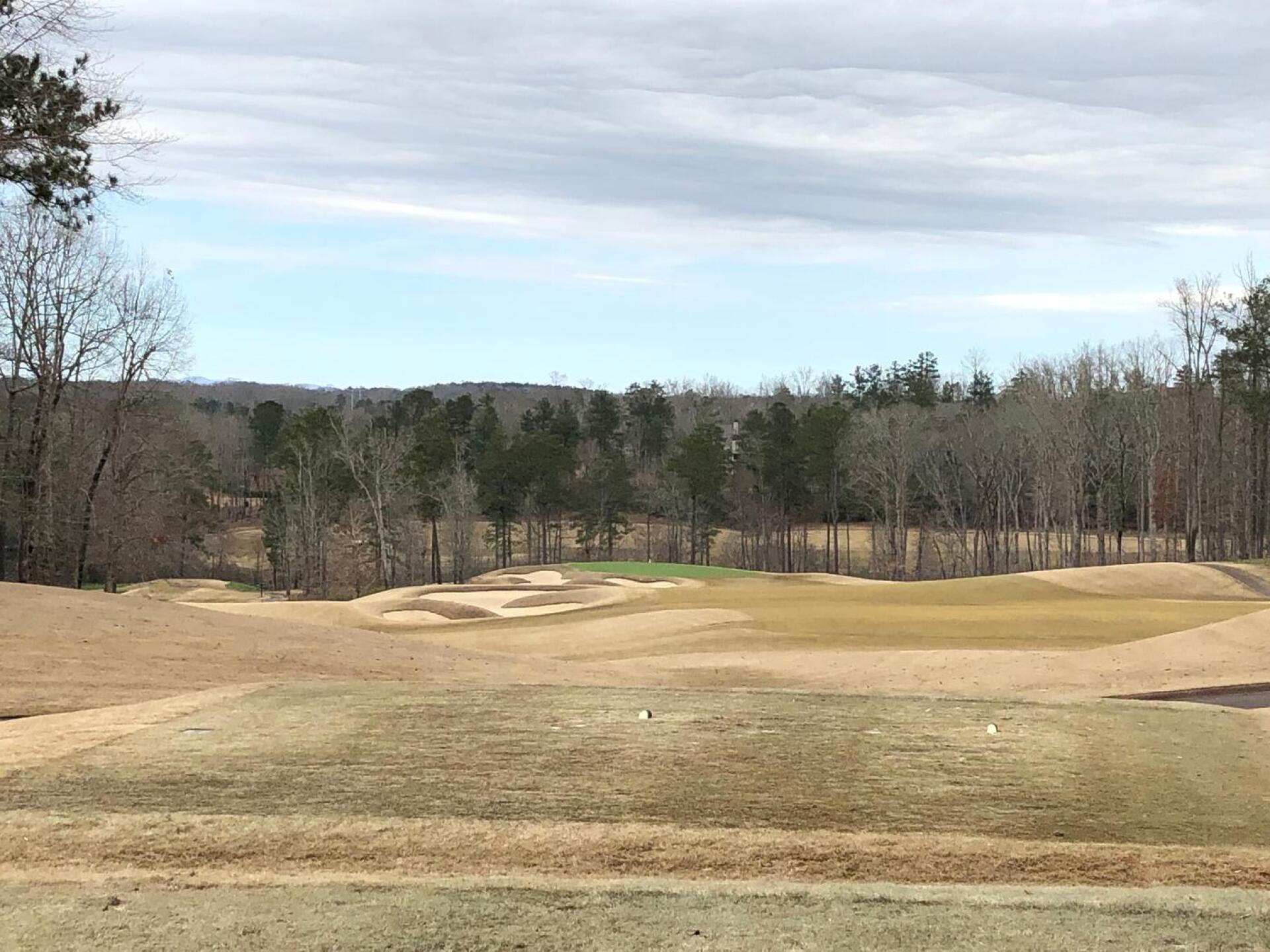 (Photo submitted by marcblom on 03/18/2019)