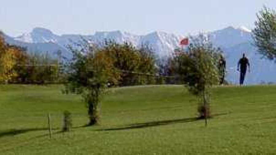 Stenz GC: #3