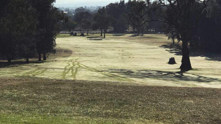 Denman GC
