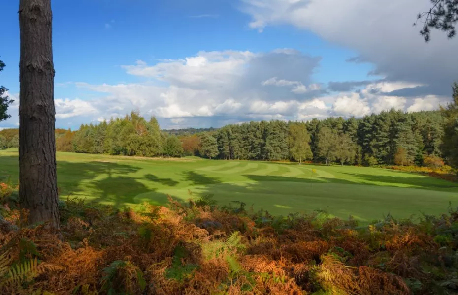 16th green at Tilgate Forest