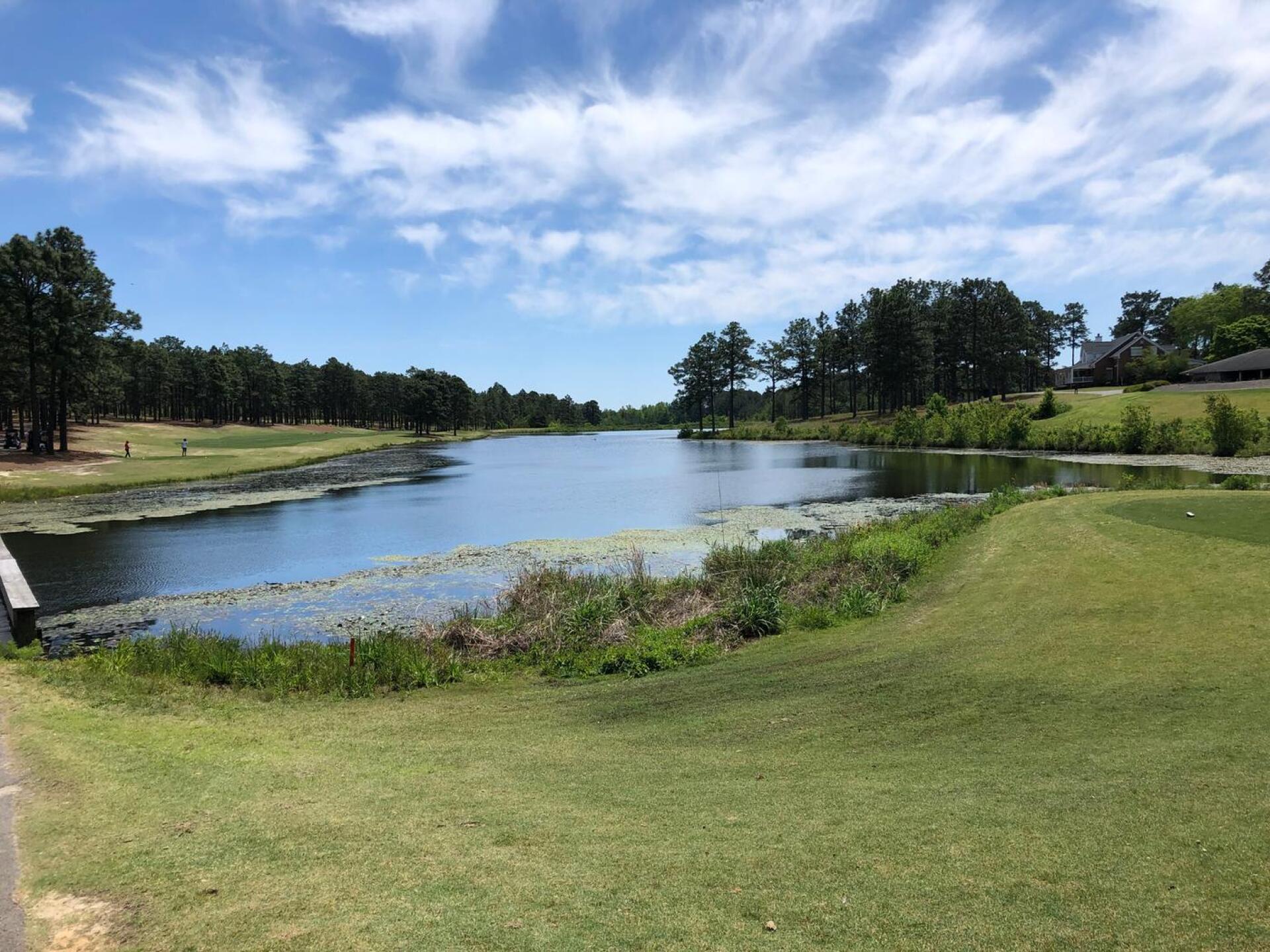 (Photo submitted by kroberts6 on 05/10/2020)