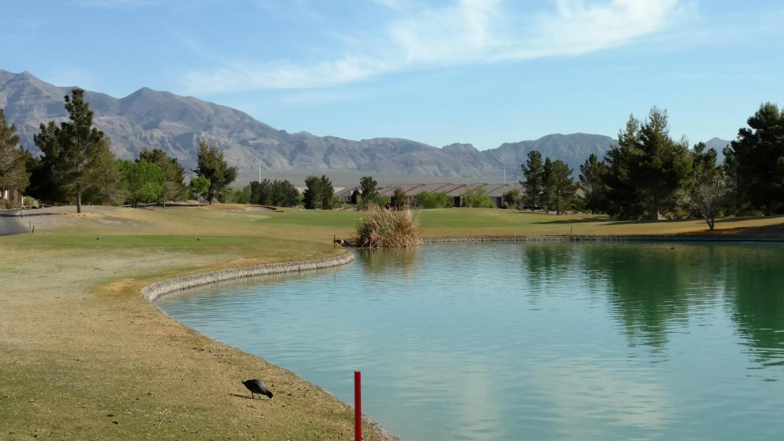 Par 5, #11 (Photo submitted by Bombtech6316 on 04/10/2018)