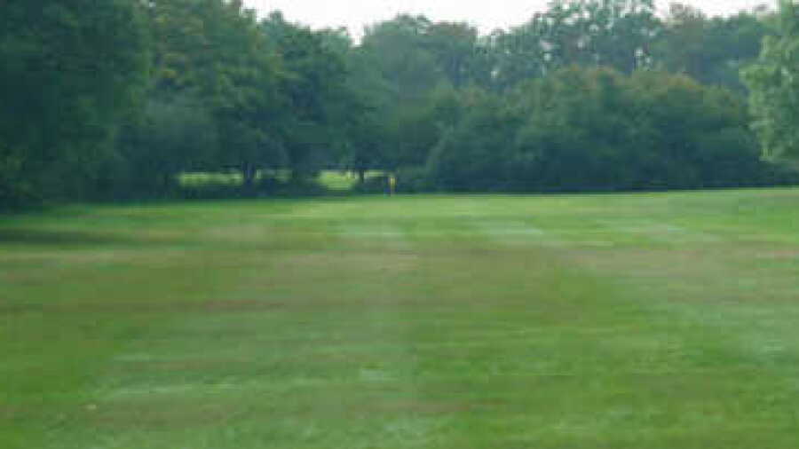 High Beech GC - Yellow: #3