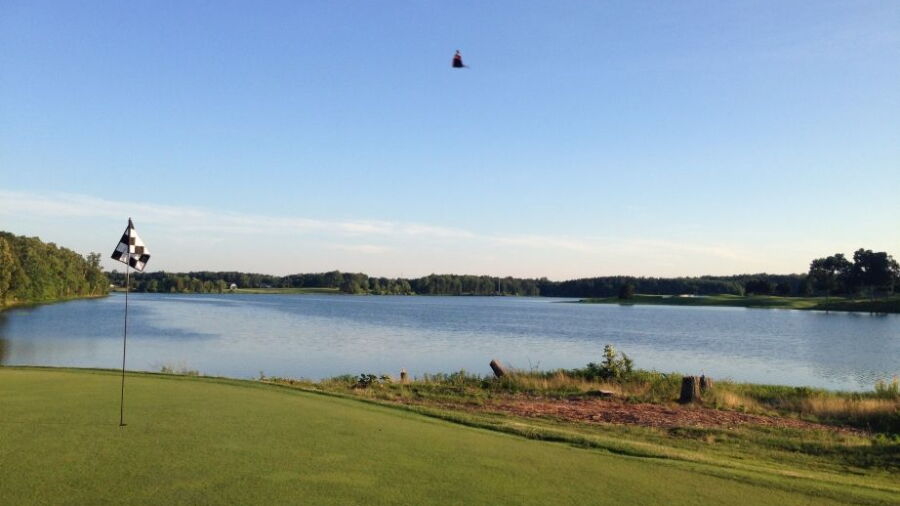 Virginia Oaks GC: #13