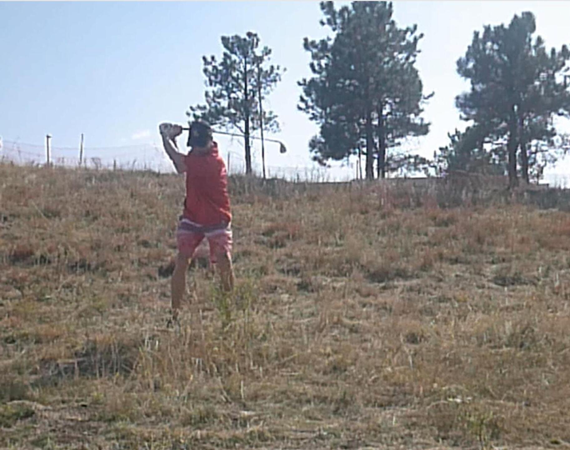 (Photo submitted by DiamondAces on 10/12/2024)