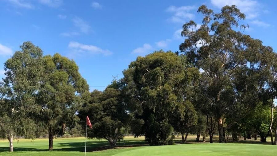 Northcote GC