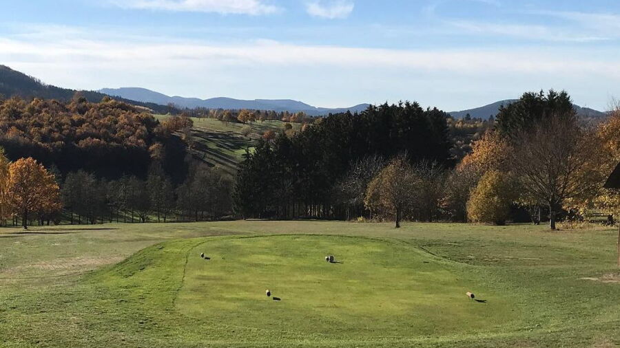 Schmallenberg GC