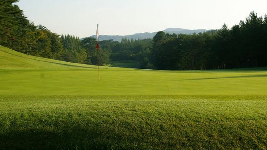 Izumi Kokusai GC: #10