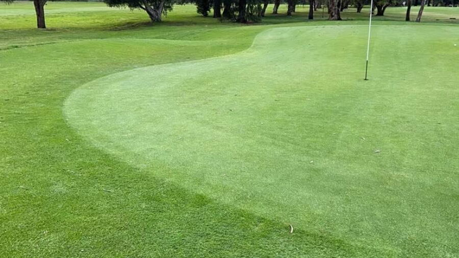 Northcote GC