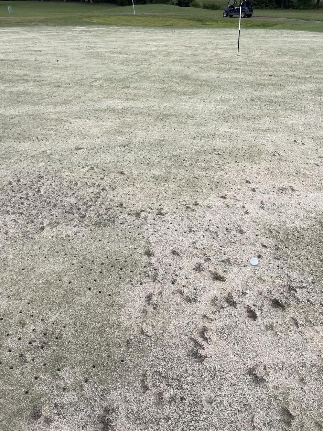 (Photo submitted by u361516986 on 09/05/2024)