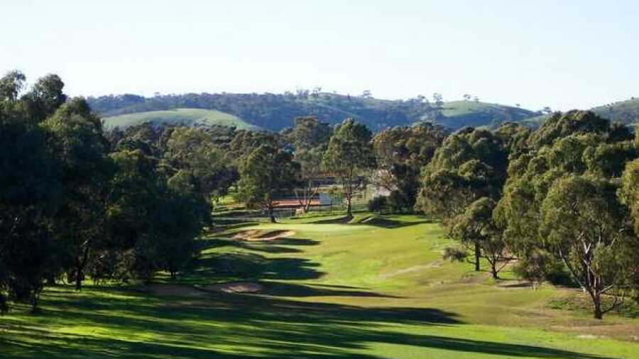 Flagstaff Hill GC: #12