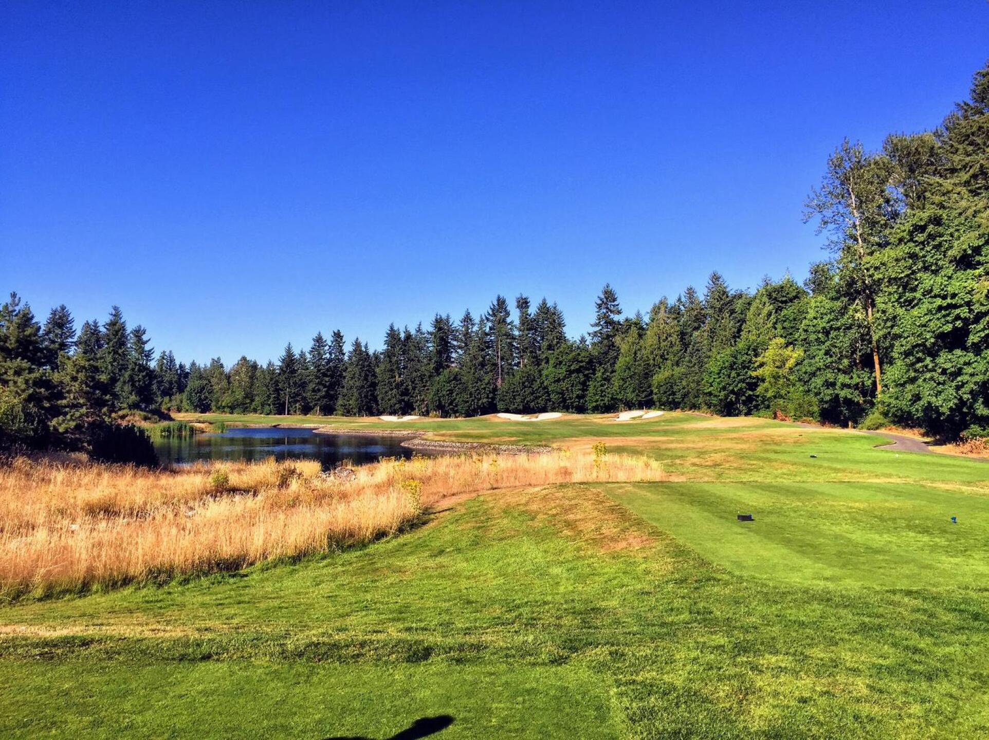 (Photo submitted by rich4par on 10/12/2020)