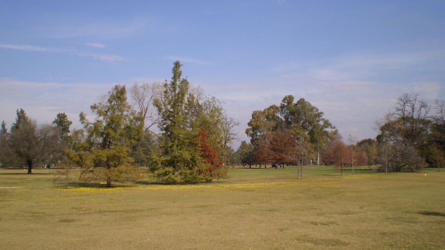 Miraflores CC