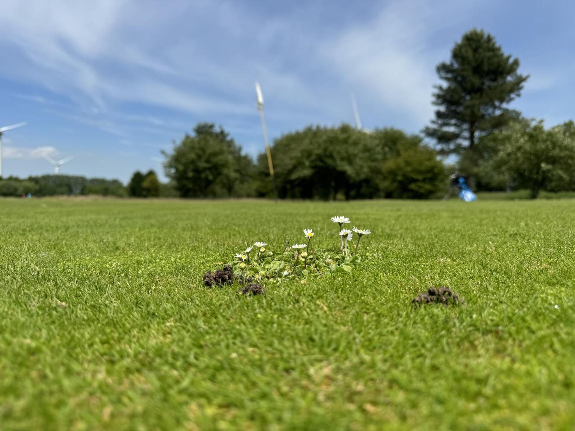 (Photo submitted by DYQwSCOa6nbYwGpMMoFW on 06/21/2024)