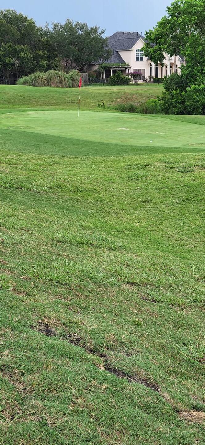 (Photo submitted by u5172873 on 08/07/2022)