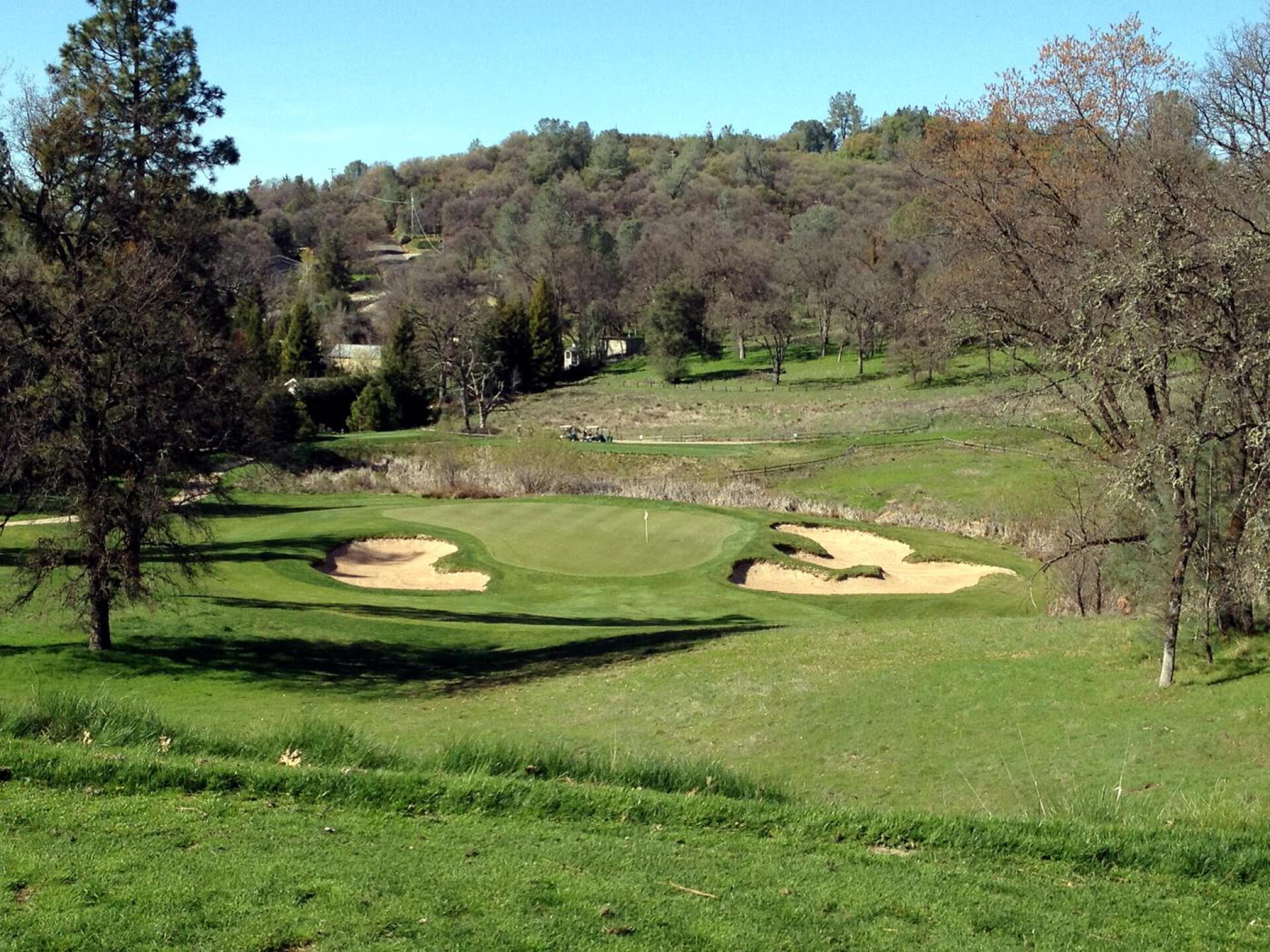 DarkHorse GC, Hole 13, Par 3, 184 yds (Photo submitted by DYakimec on 03/21/2016)