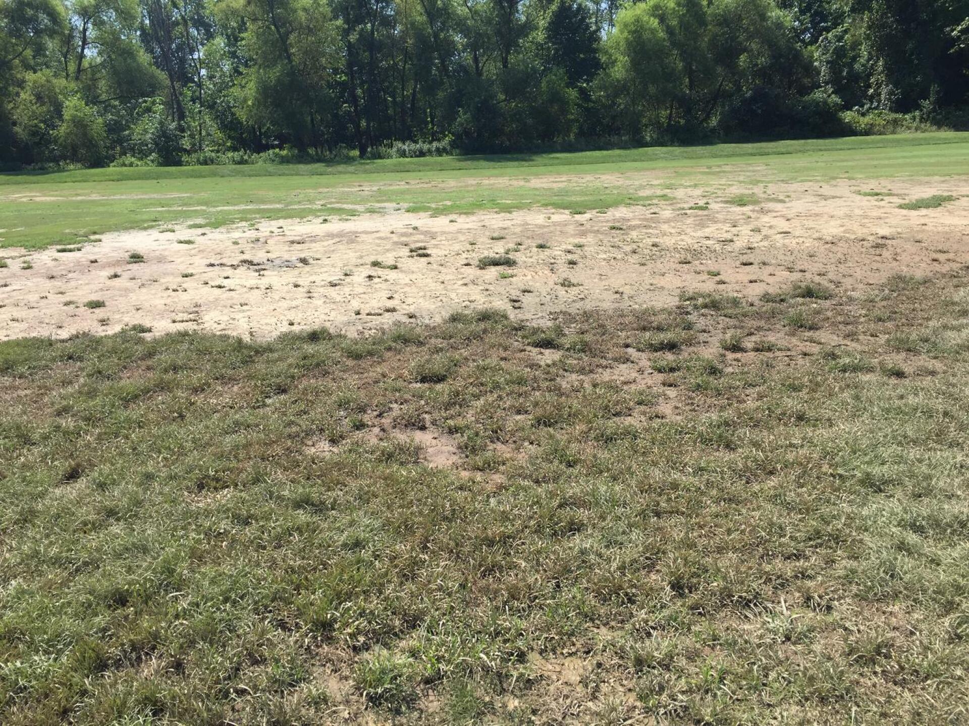 Back 9 Hole 17 Fairway all dirt and you call this "the greens" (Photo submitted by u000006098902 on 08/30/2016)
