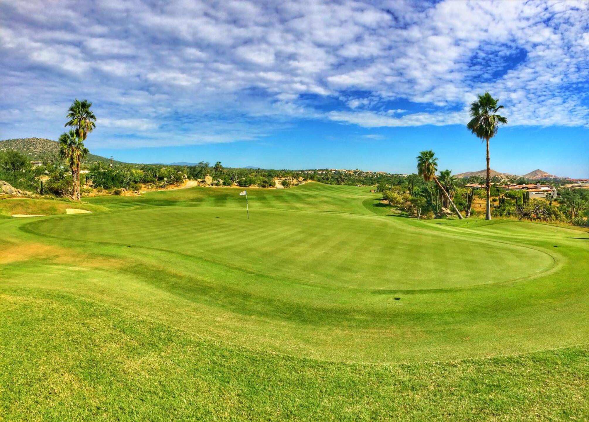 (Photo submitted by BrandonTuckerGA on 11/08/2017)