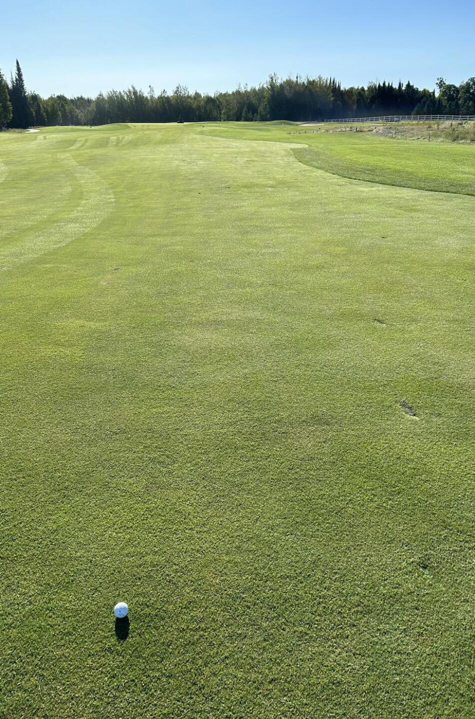 (Photo submitted by cDEZ0ElbBiJYbfZn7kRE on 08/09/2024)