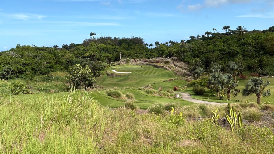 Apes Hill - natural look 