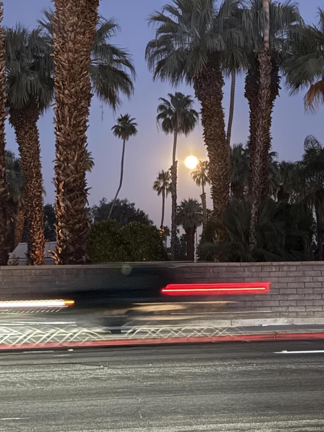 (Photo submitted by 0nA3CVAND1tTOAEdpQpM on 04/05/2026)