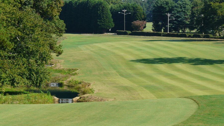 Pinetree CC