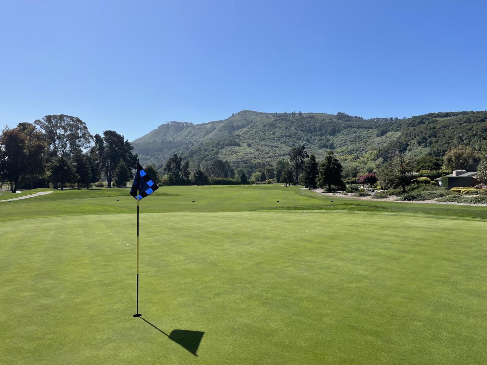 (Photo submitted by aapone on 05/31/2021)