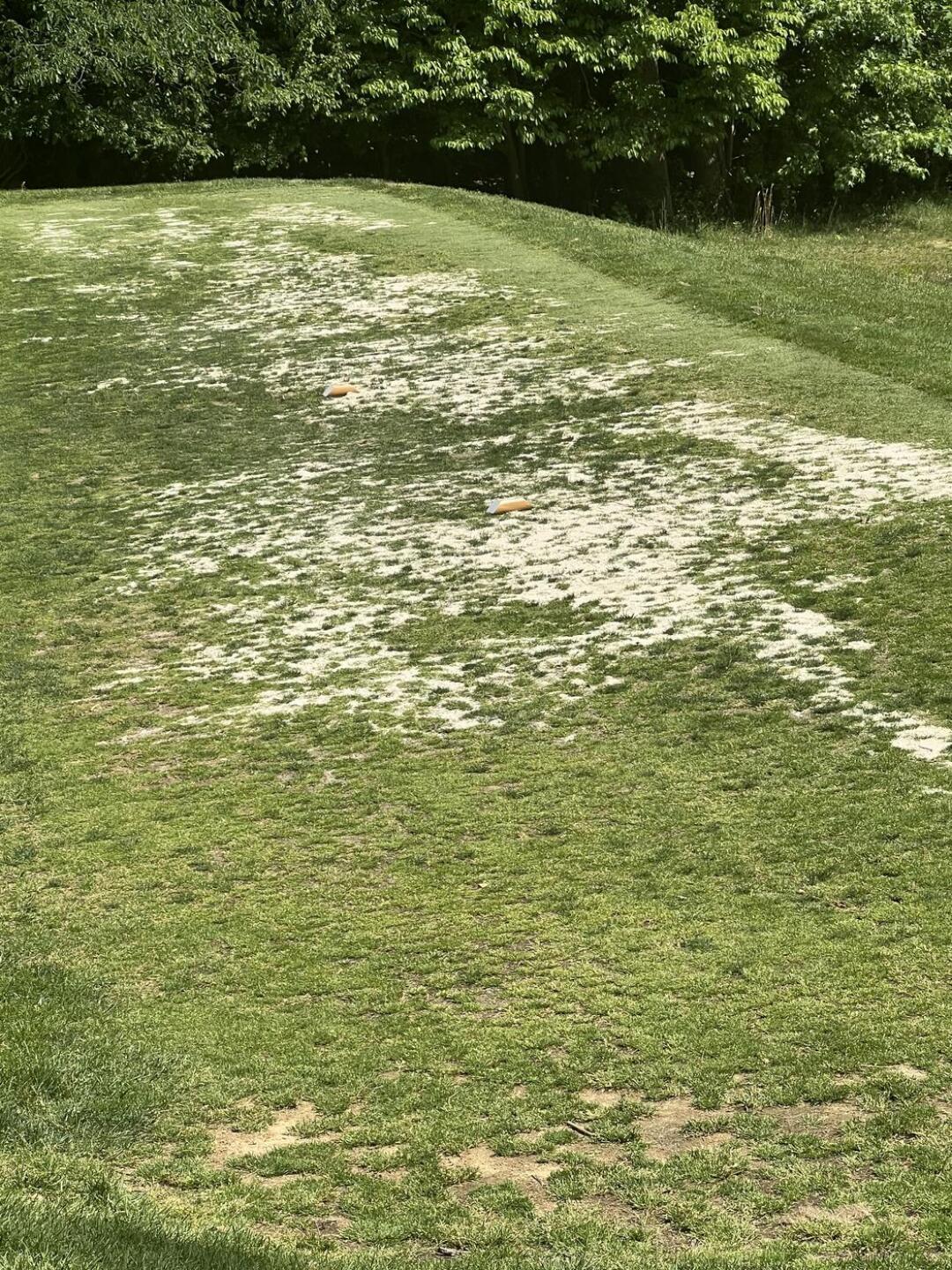 Tee time 12:09 just pulled up at 10 hole (Photo submitted by 5LwZY47aMMdDcOUWJuoG on 05/17/2026)