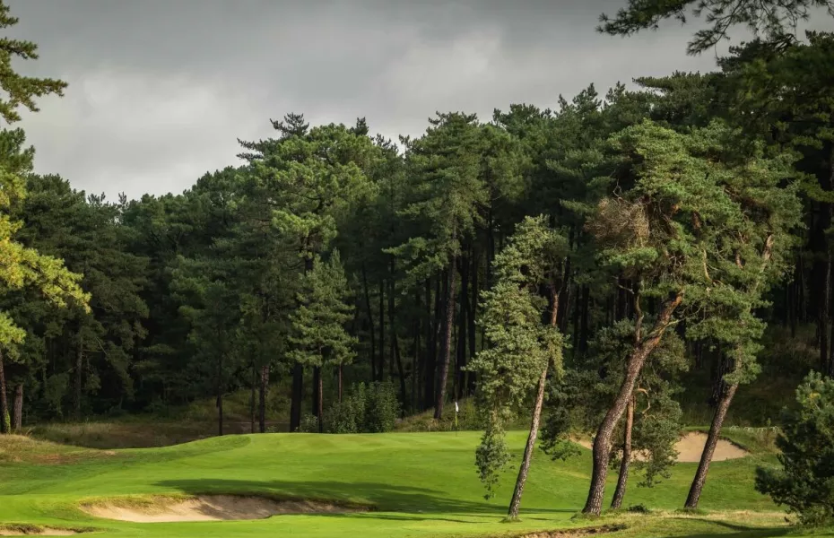 Hardelot GC - The Pines